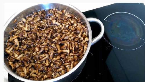 Рецепт маринованных опят на зиму для хранения в домашних условиях. Опята маринованные на зиму — 8 рецептов