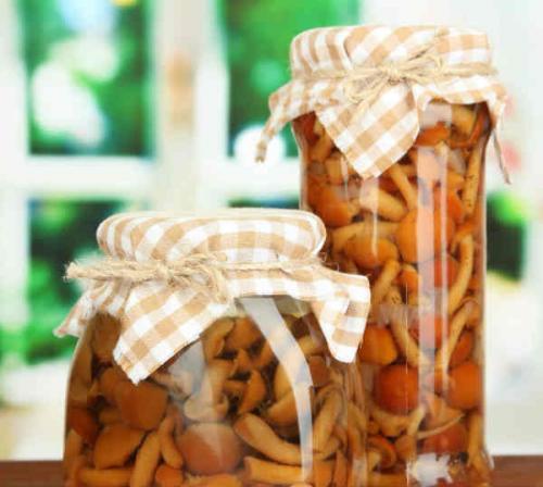 Рецепт маринованных опят на зиму для хранения в домашних условиях. Опята маринованные на зиму — 8 рецептов