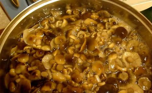 Рецепт маринованных опят на зиму для хранения в домашних условиях. Опята маринованные на зиму — 8 рецептов