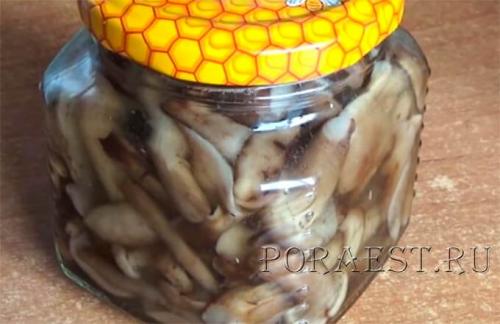 Маринованные опята под капроновой крышкой. Опята маринованные на зиму без стерилизации — классический рецепт приготовления