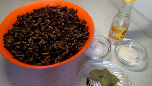 Рецепт маринованных опят на зиму для хранения в домашних условиях. Опята маринованные на зиму — 8 рецептов