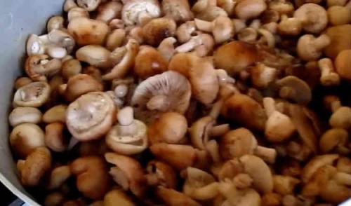 Рецепт маринованных опят на зиму для хранения в домашних условиях. Опята маринованные на зиму — 8 рецептов