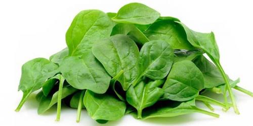 Как есть шпинат сырым. Полезные свойства шпината для организма - применение в кулинарии, народной медицине и косметологии