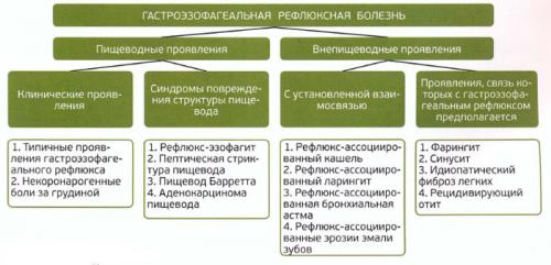 ГЭРБ под контролем: как работает система 03 ГЭРБ под контролем: как работает система 03