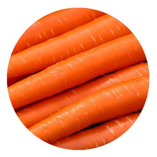 Польза и вред чеснока. Чеснок – это не только еда, это еще и здоровье. 03