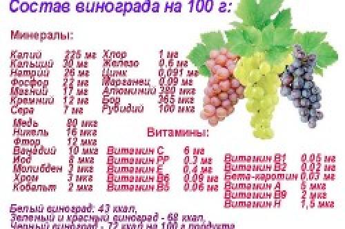 Отличительные черты технических сортов винограда для производства вина 02 Отличительные черты технических сортов винограда для производства вина 02