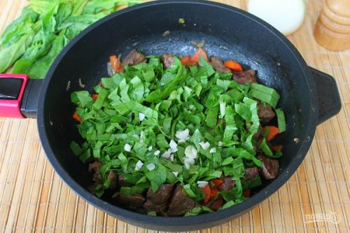 Шпинат польза. Шпинат: польза, вред, рецепты блюд