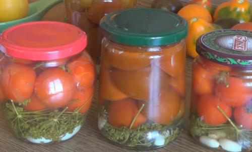 Что такое помидоры в желе с петрушкой и кинзой. Обалденные помидоры в желе на зиму. Пальчики оближешь!