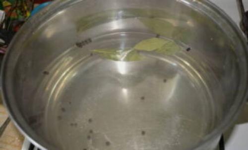 Как долго хранятся помидоры в желе с петрушкой и кинзой. Помидоры в желатине на зиму