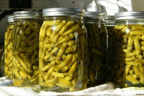 Какие блюда можно приготовить из вьющейся фасоли. 15 способов, как приготовить вкусную стручковую фасоль