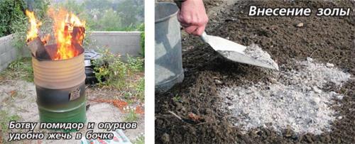 Эликсир долголетия: альтернативный сад рецепт 01