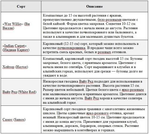 Как выбрать подходящий сорт многолетней гвоздики для своего сада. Сорта и виды многолетней гвоздики