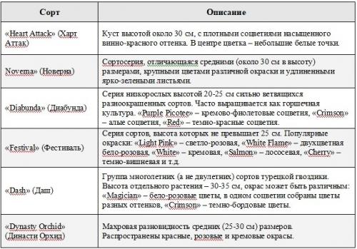 Как выбрать подходящий сорт многолетней гвоздики для своего сада. Сорта и виды многолетней гвоздики