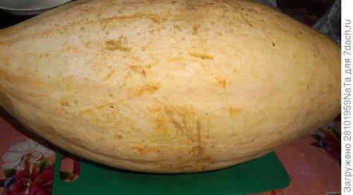 Тыква сладкий банан. Розовый банан - это вкусная тыква