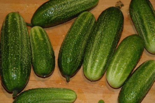 Какие сорта огурцов наиболее популярны в странах Восточной Европы для засолки. Самые высокоурожайные сорта огурцов: фото, названия и описания (каталог)
