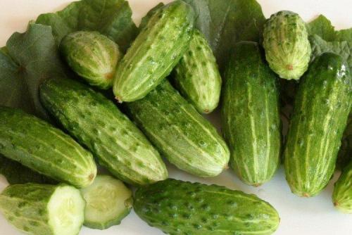 Какие сорта огурцов наиболее популярны в странах Восточной Европы для засолки. Самые высокоурожайные сорта огурцов: фото, названия и описания (каталог)