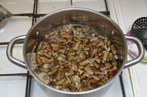 Маринованные опята на зиму в банках с уксусом. Маринованные опята с уксусом – самый вкусный рецепт