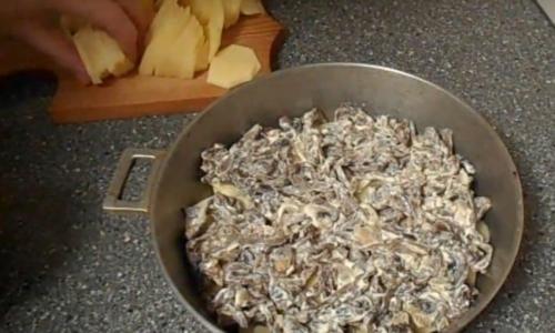 Опята замороженные с картошкой. Как приготовить замороженные опята с картошкой