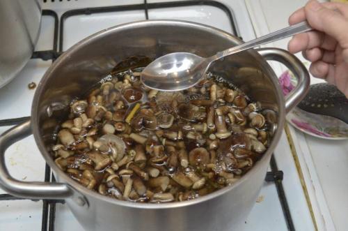 Маринованные опята на зиму в банках с уксусом. Маринованные опята с уксусом – самый вкусный рецепт