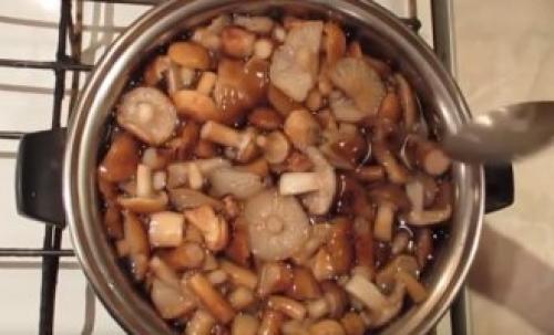 Рецепты приготовления замороженных опят. Как приготовить замороженные опята в домашних условиях — лучшие рецепты приготовления 01