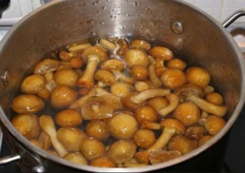 Рецепты приготовления замороженных опят. Как приготовить замороженные опята в домашних условиях — лучшие рецепты приготовления 06