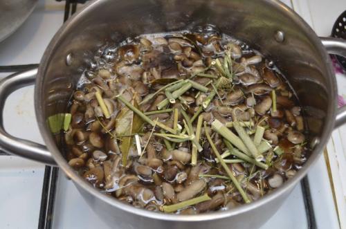 Маринованные опята на зиму в банках с уксусом. Маринованные опята с уксусом – самый вкусный рецепт