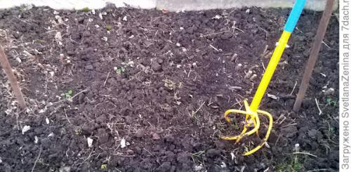 Как укрыть ремонтантную малину на зиму. Подготовка ремонтантной малины к зиме