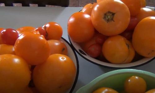 Помидоры в собственном соку на зиму рецепты пальчики оближешь. Помидоры в собственном соку на зиму — самый вкусный рецепт без стерилизации