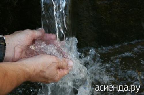 Какие преимущества имеют ожоги от крапивы. Польза и вред крапивных ожогов