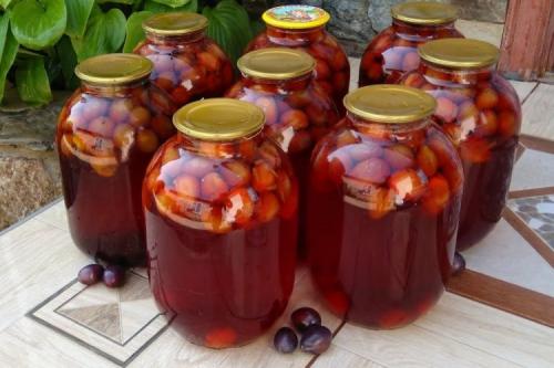 Можно ли использовать другие фрукты вместо сливы для приготовления пьяного компота. Компот из сливы: 20 лучших рецептов на любой вкус