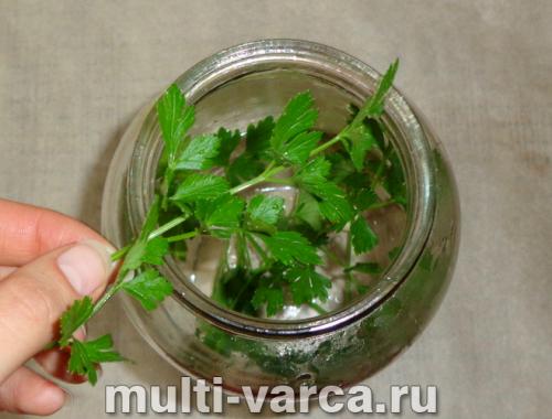 Запас на зиму: томаты с петрушкой 02