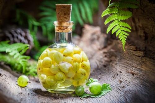 Какие ингредиенты нужны для приготовления пьяной сливы на зиму. 20 потрясающих рецептов наливки из сливы