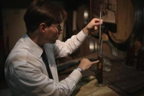 Какие факторы влияют на техническую характеристику винограда