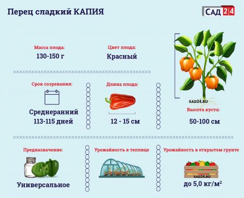 Что такое перец Капли пикантный. Сладкий перец Капия: особенности, детали агротехники, мнение огородников