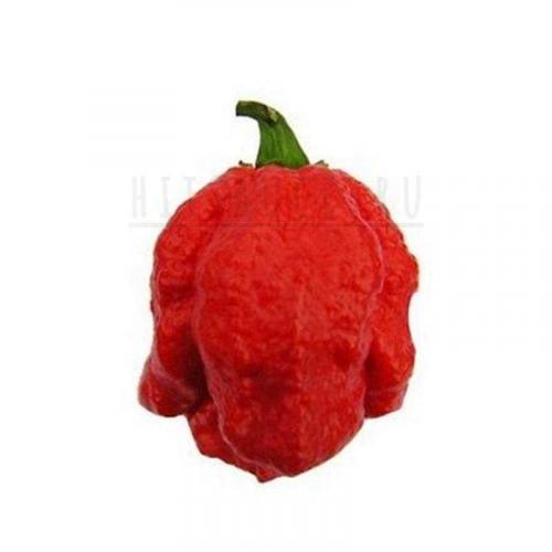 Какой уровень остроты имеет перец Капли пикантный. Шкала Сковилла: рейтинг 500+ перцев чили с указанием их остроты по шкале Сковилла (с обновлениями на 2024 год)