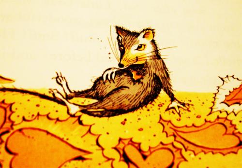 Какие условия необходимы для успешного выращивания батата