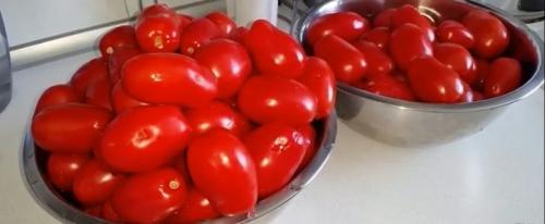 Вкусные помидоры в собственном соку. Самый вкусный рецепт помидоров в собственном соку