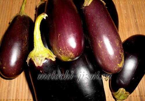 Как правильно очистить баклажаны перед сушкой. Сушка баклажанов в электросушилке