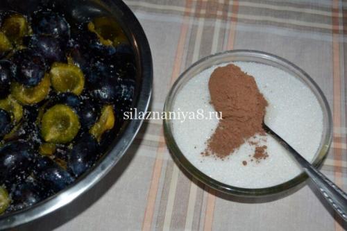 Варенье слива в шоколаде. Варенье из слив с какао на зиму (очень вкусный рецепт сливы в шоколаде) 26
