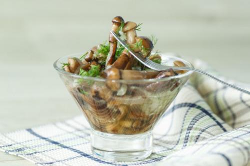 Маринованные опята, бабушкин рецепт. Опята маринованные на зиму в домашних условиях: 6 рецептов быстрого приготовления