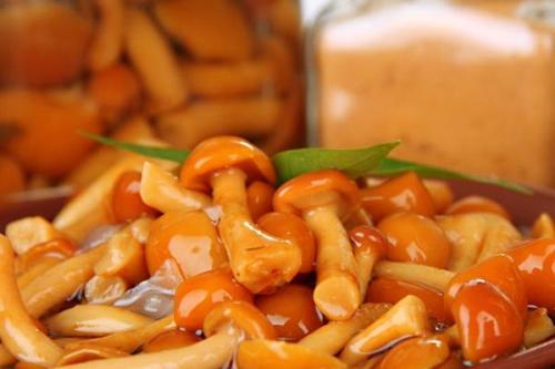 Маринованные опята с яблочным уксусом. Опята, маринованные с яблочным уксусом: рецепты закусок