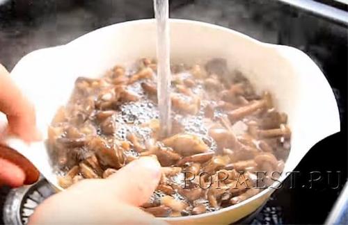 Маринованные опята с лимонной кислотой. Как быстро замариновать опята с 9% уксусом в домашних условиях