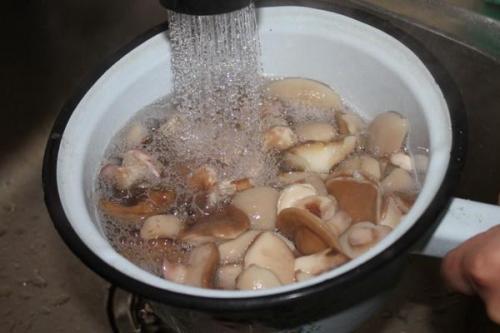 Маринованные опята с яблочным уксусом. Опята, маринованные с яблочным уксусом: рецепты закусок