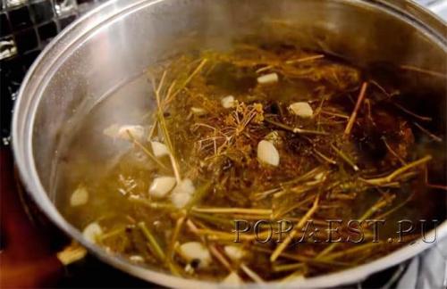 Маринованные опята с лимонной кислотой. Как быстро замариновать опята с 9% уксусом в домашних условиях