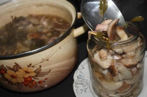 Маринованные опята с яблочным уксусом. Опята, маринованные с яблочным уксусом: рецепты закусок