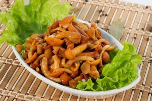 Маринованные опята с яблочным уксусом. Опята, маринованные с яблочным уксусом: рецепты закусок