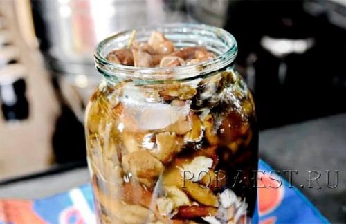 Маринованные опята с лимонной кислотой. Как быстро замариновать опята с 9% уксусом в домашних условиях