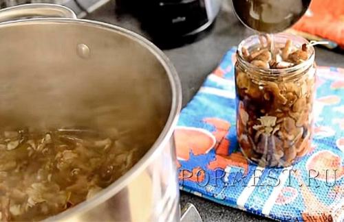 Маринованные опята с лимонной кислотой. Как быстро замариновать опята с 9% уксусом в домашних условиях