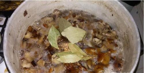 Маринад для опят на 1 литр воды. Как быстро и вкусно замариновать лесные опята — 5 простых рецептов маринованных опят на зиму