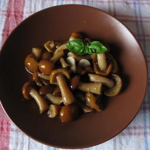 Маринованные опята с яблочным уксусом. Опята, маринованные с яблочным уксусом: рецепты закусок